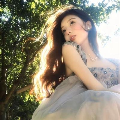 庇护棕榈树下